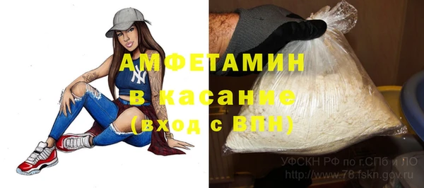 стафф Алексин