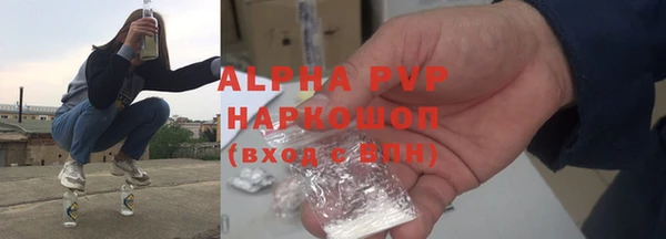 стафф Алексин