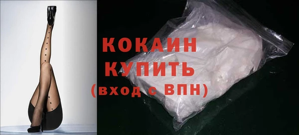 стафф Алексин