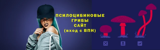 дурь Алексеевка